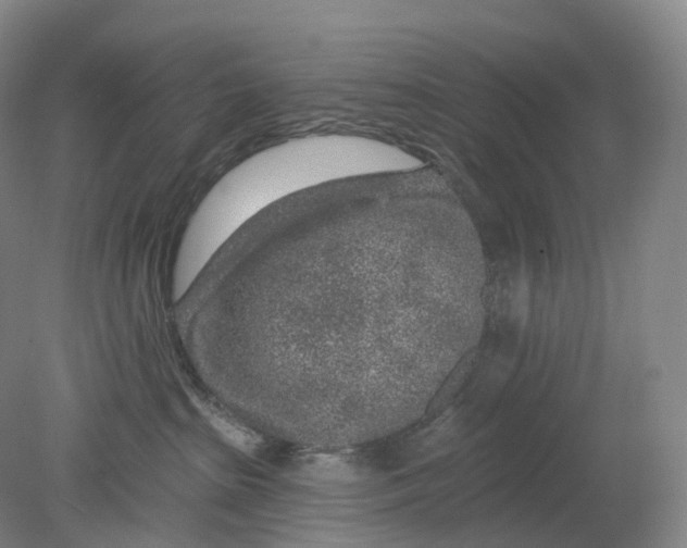 X0000080790285200701051401