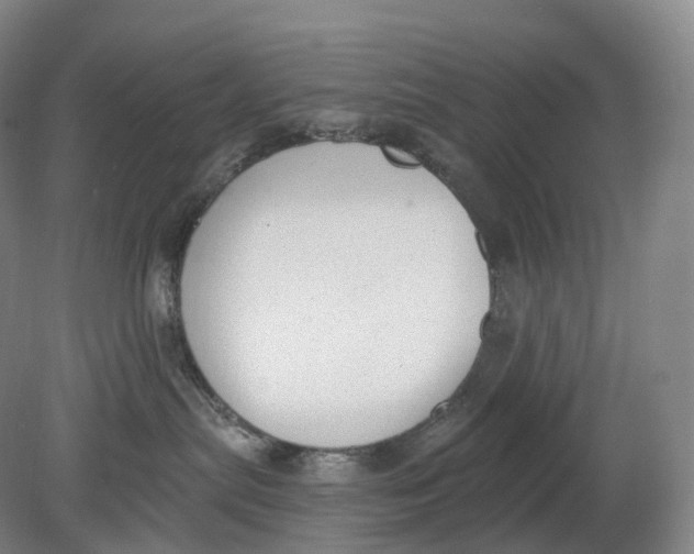 X0000080790287200701051401