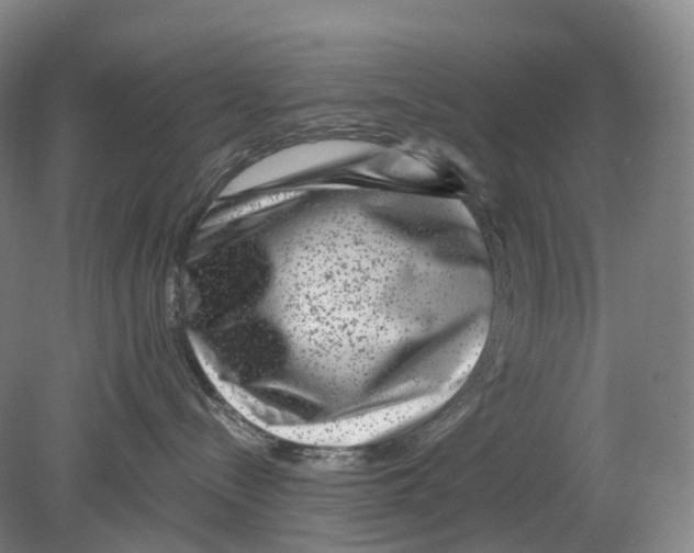 X0000080790288200701051401