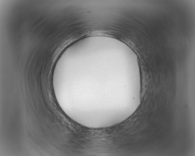 X0000080790289200701051401