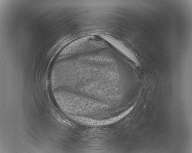 X0000080790290200701051401