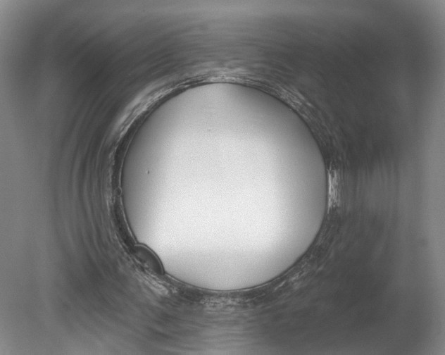 X0000080790291200701051401