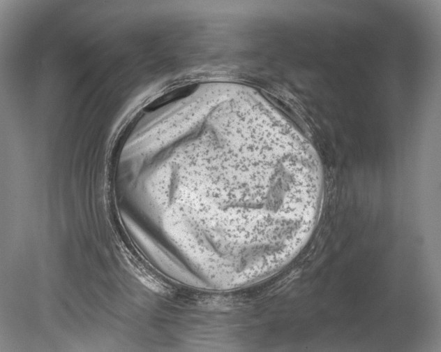X0000080790293200701051401