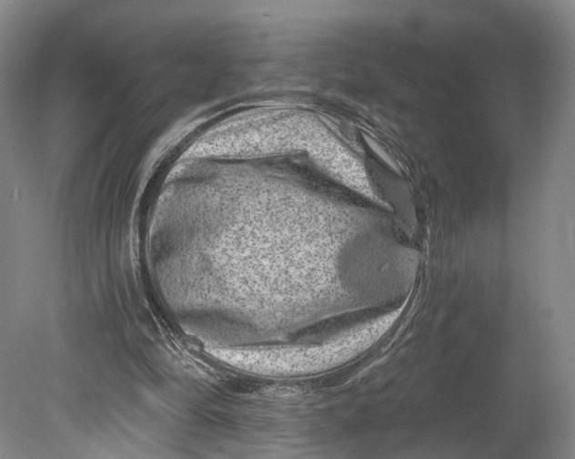 X0000080790294200701051401