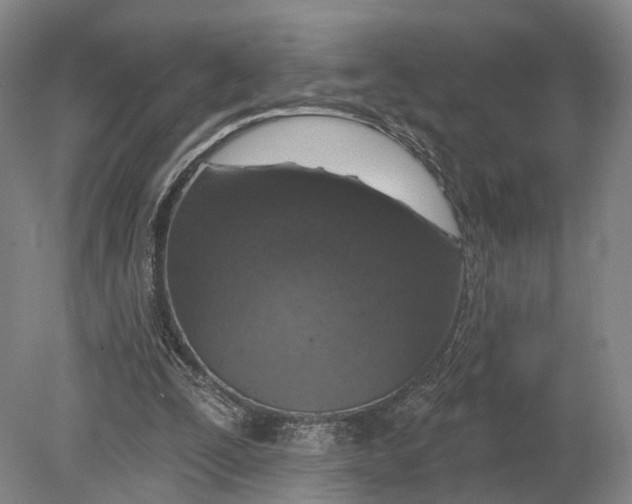 X0000080790295200701051401