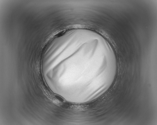 X0000080790297200701051400