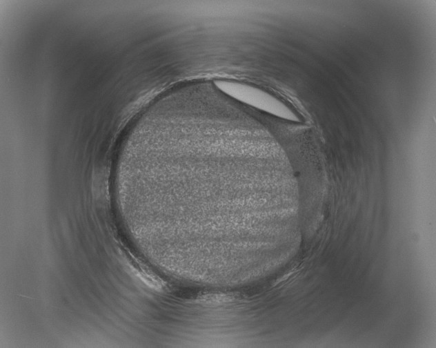 X0000080790299200701051400