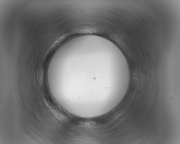 X0000080790304200701051400