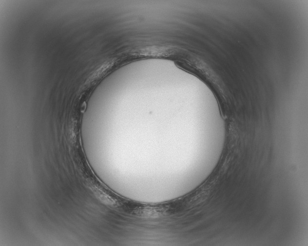X0000080790305200701051400