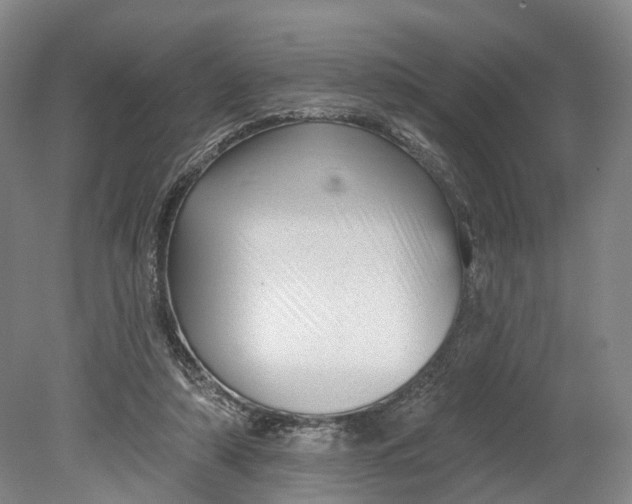 X0000080790306200701051400