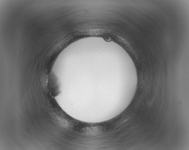 X0000080790307200701051400