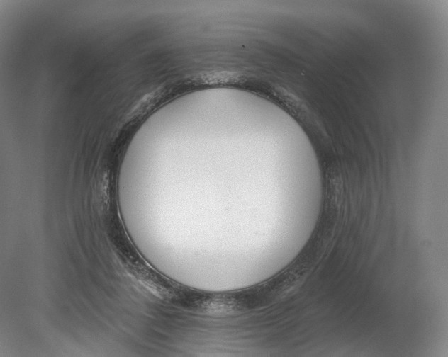 X0000080790308200701051400