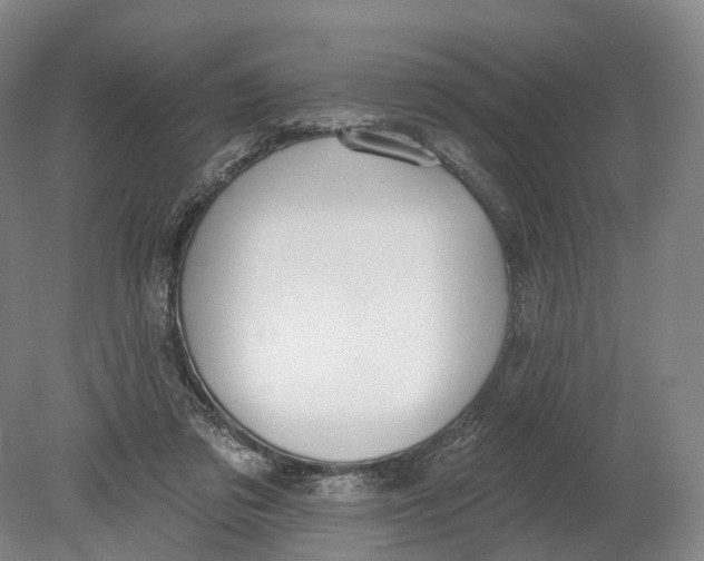 X0000080790309200701051400