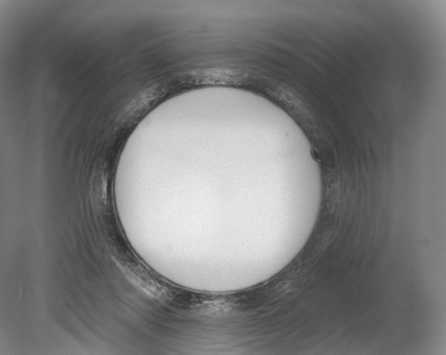 X0000080790310200701051400