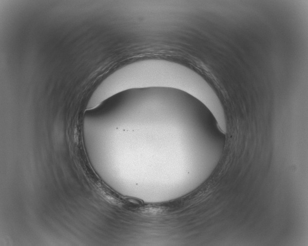 X0000080790313200701051400