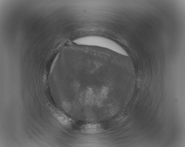 X0000080790314200701051400