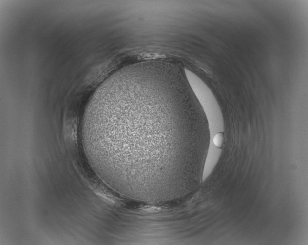 X0000080790315200701051400