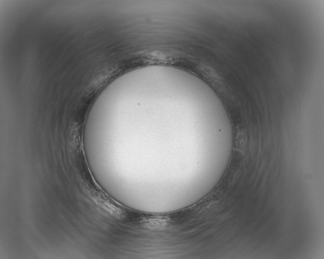 X0000080790318200701051400