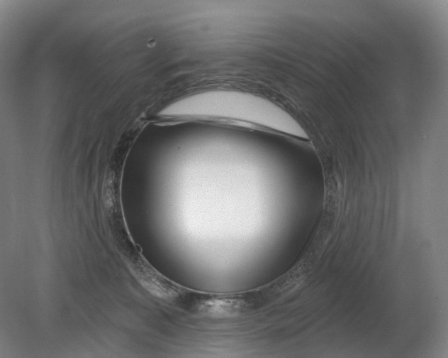 X0000080790323200701051400