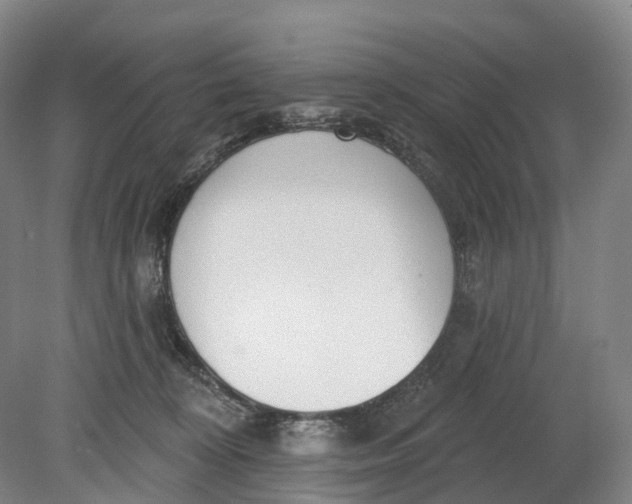 X0000080790324200701051400