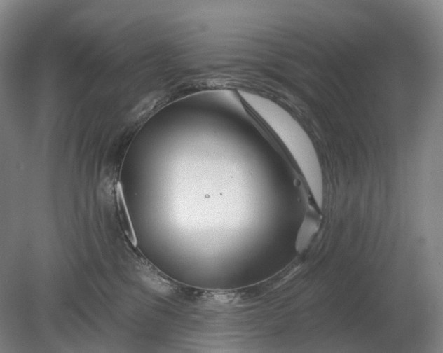X0000080790329200701051400