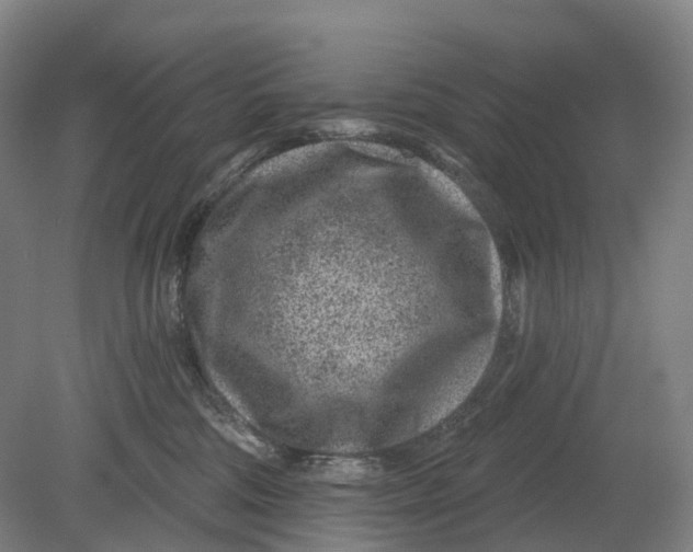 X0000080790330200701051400