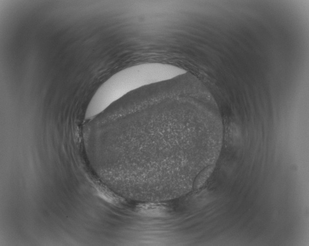 X0000080790331200701051400