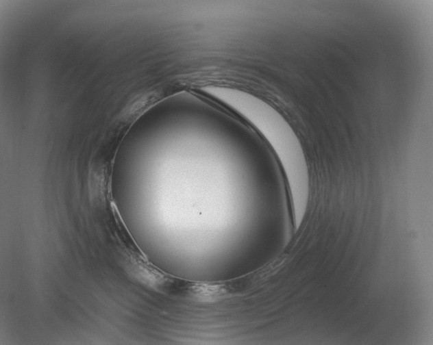 X0000080790333200701051400