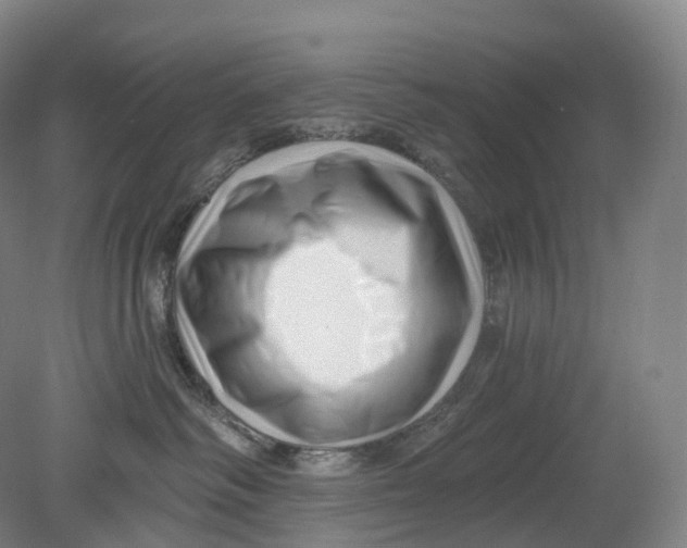 X0000080790334200701051400