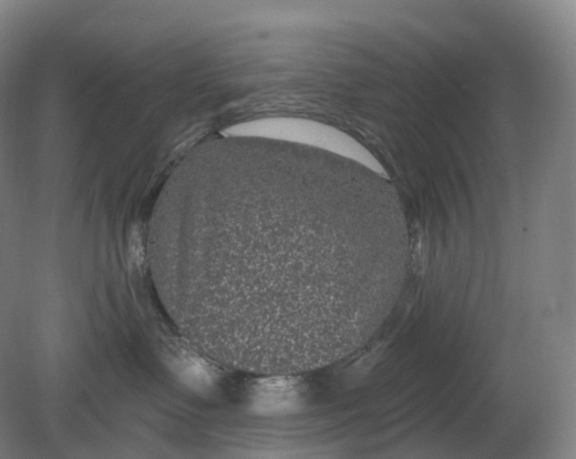 X0000080790335200701051400
