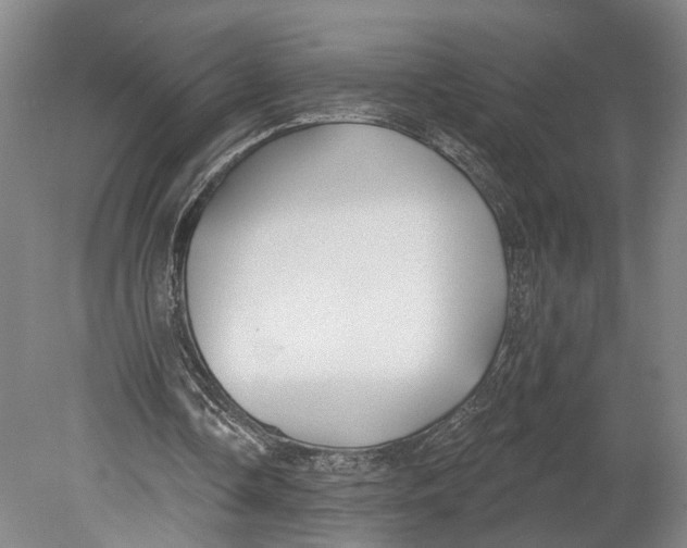 X0000080790338200701051359