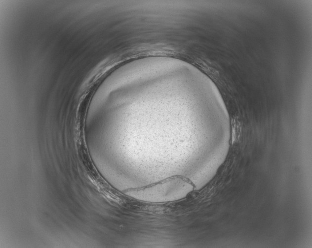 X0000080790339200701051359