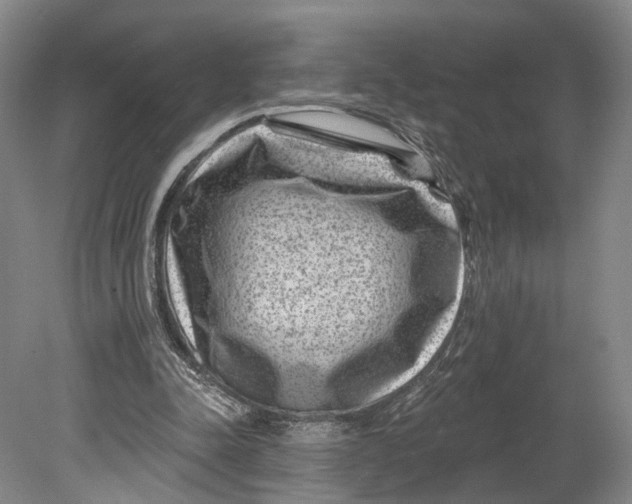 X0000080790342200701051359