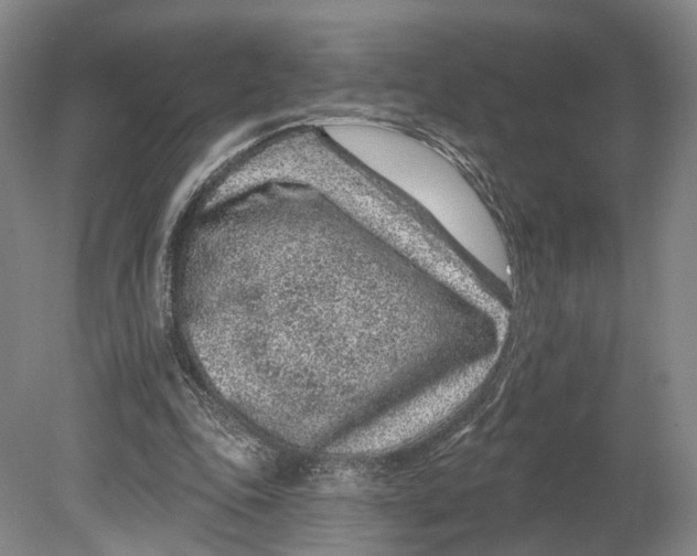 X0000080790343200701051359