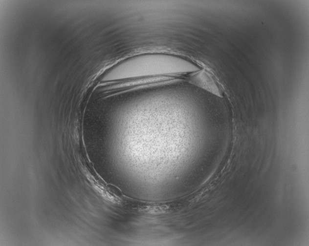 X0000080790345200701051359