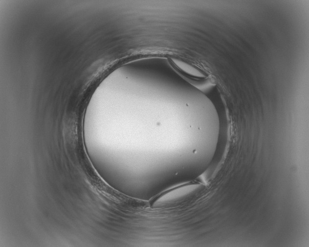 X0000080790348200701051359