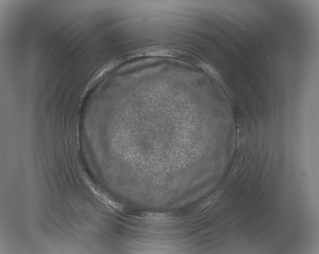 X0000080790349200701051359