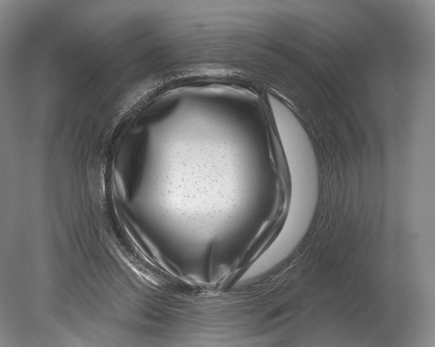X0000080790350200701051359