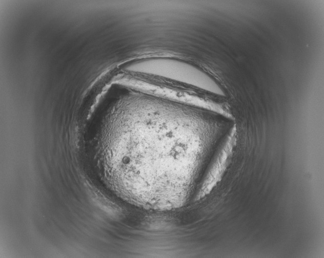 X0000080790351200701051359