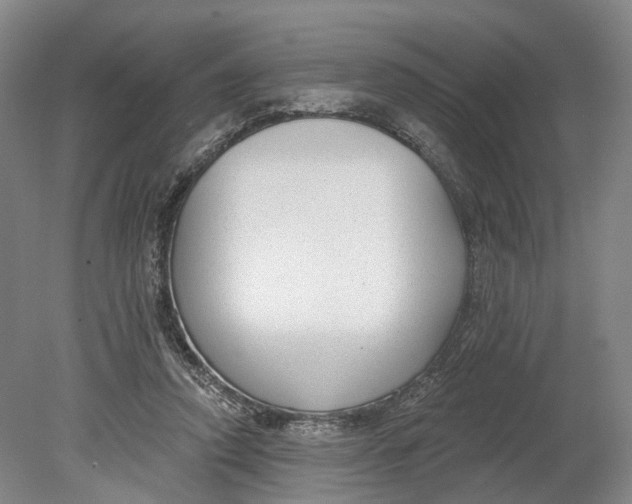 X0000080790354200701051359