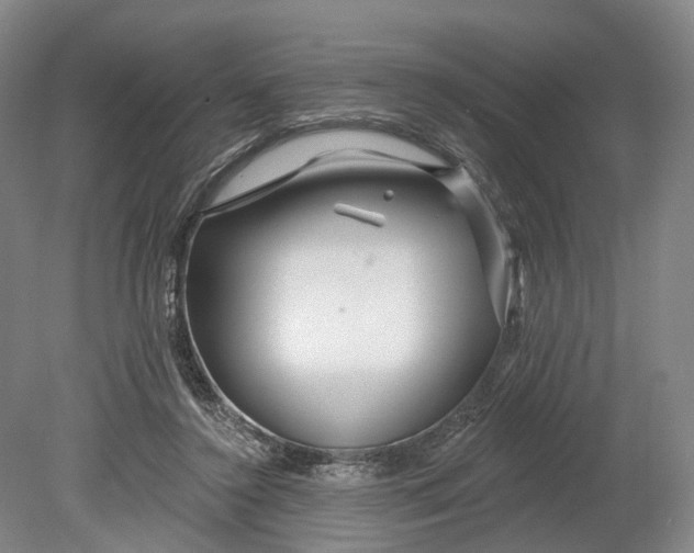 X0000080790356200701051359