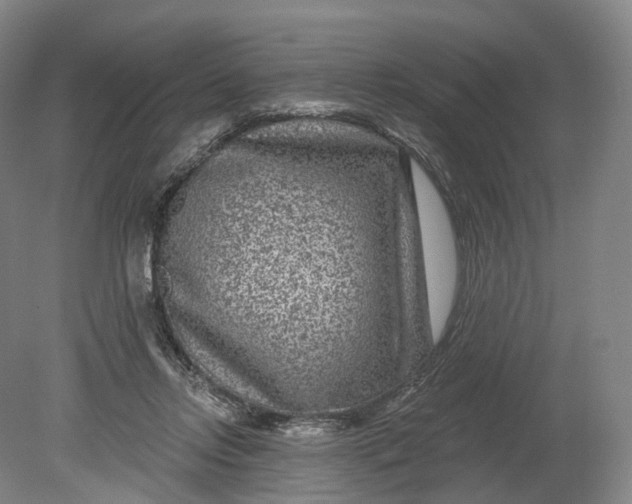 X0000080790358200701051359