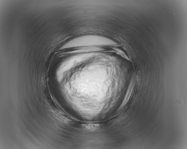 X0000080790359200701051359