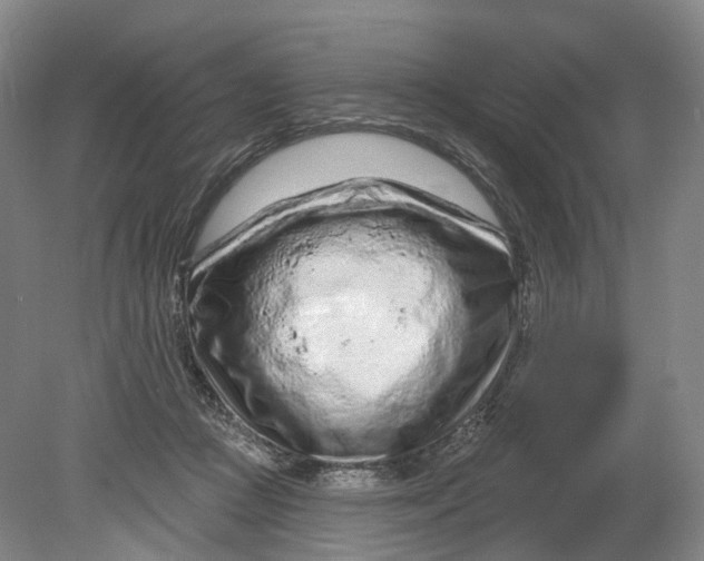 X0000080790361200701051359