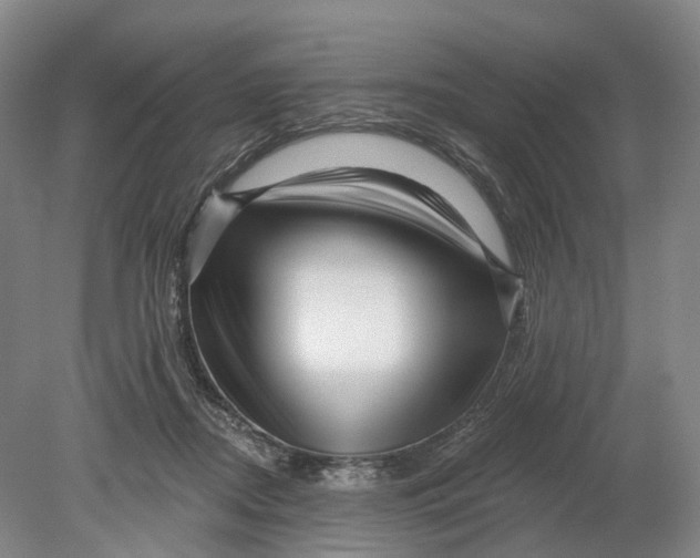 X0000080790362200701051359