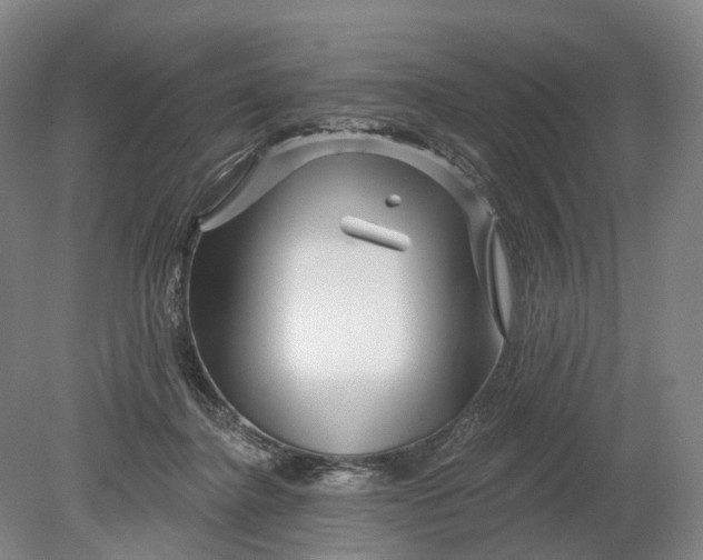 X0000080790364200701051359