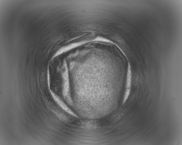 X0000080790365200701051359