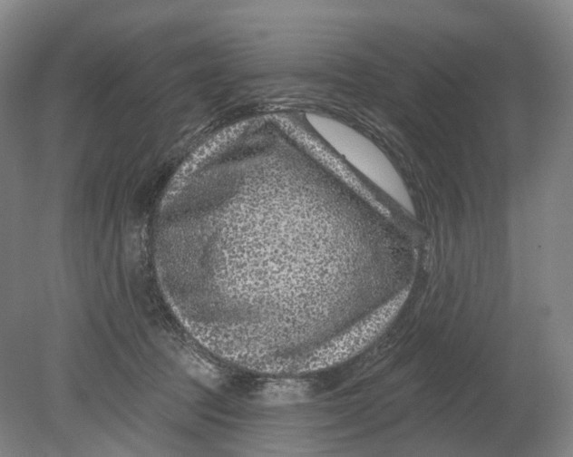 X0000080790369200701051400