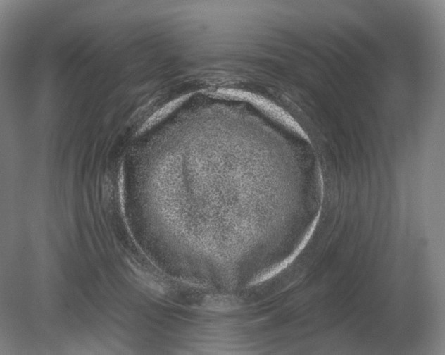 X0000080790371200701051400