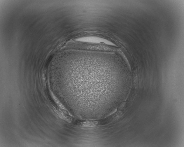 X0000080790373200701051400